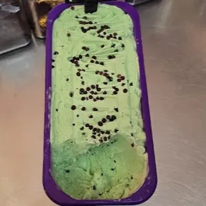 Chip Off The Old Mint Choc Ice Cream 